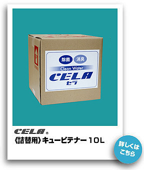 CELAsl֗ptL[rei[ 10L